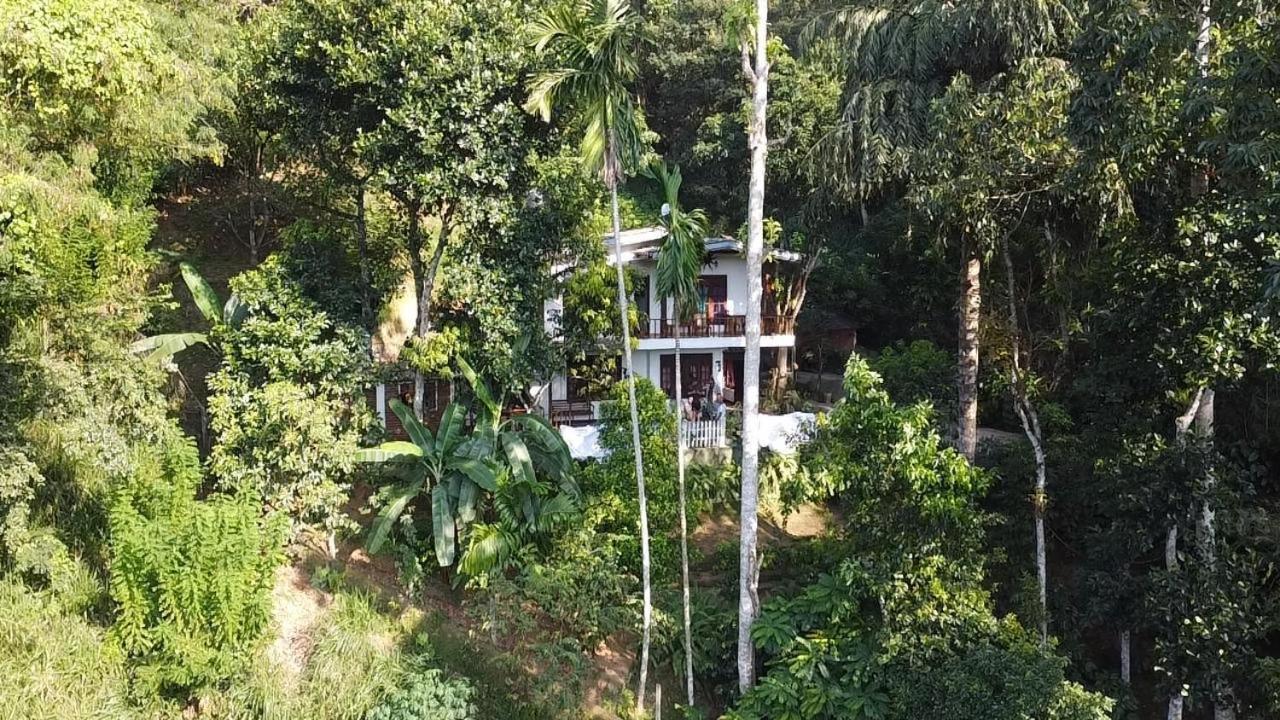 Villa25 Homestay Free Pick Up From The Centre Kandy Extérieur photo