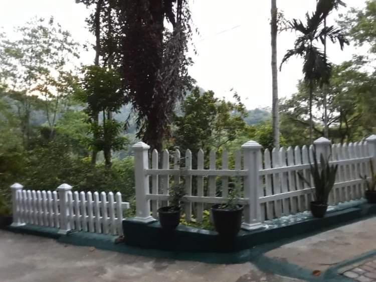 Villa25 Homestay Free Pick Up From The Centre Kandy Extérieur photo