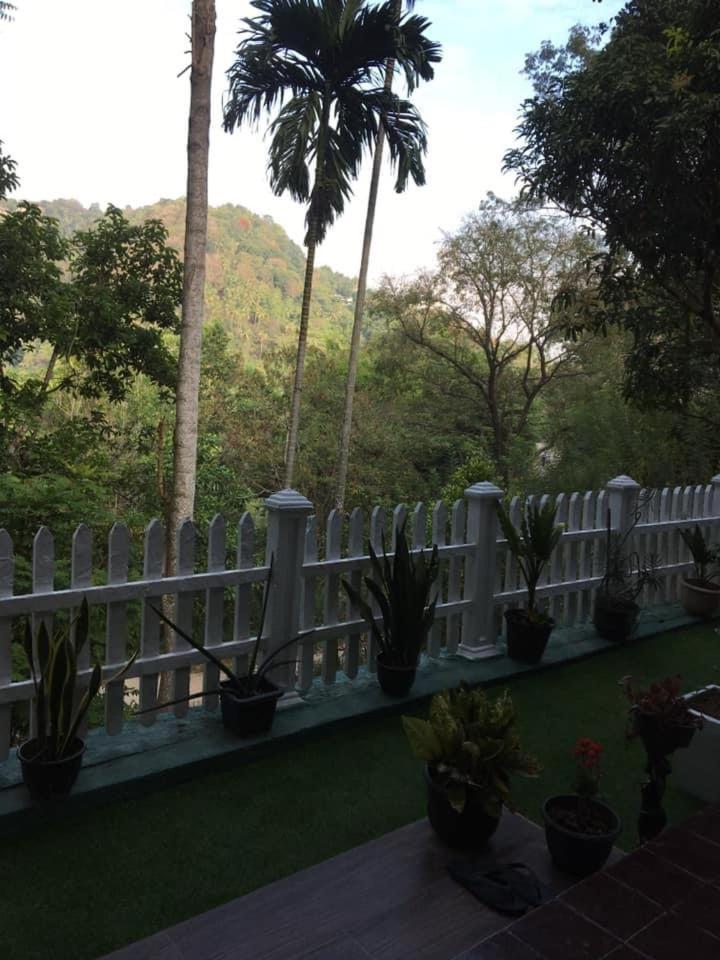 Villa25 Homestay Free Pick Up From The Centre Kandy Extérieur photo