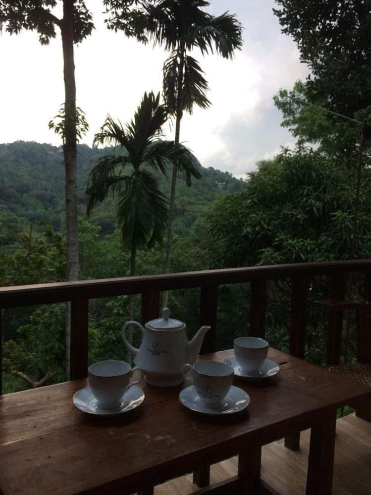 Villa25 Homestay Free Pick Up From The Centre Kandy Extérieur photo