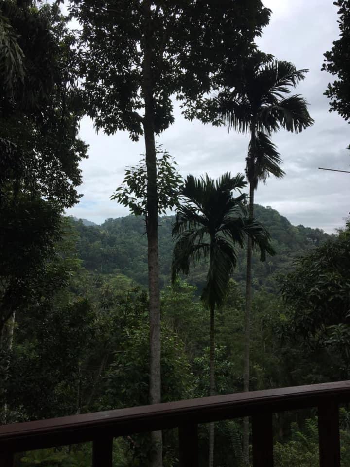 Villa25 Homestay Free Pick Up From The Centre Kandy Extérieur photo